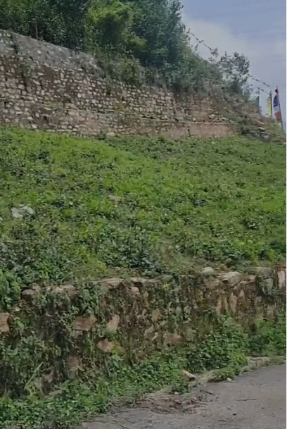 Land for Sale in Panighat, Chandragiri