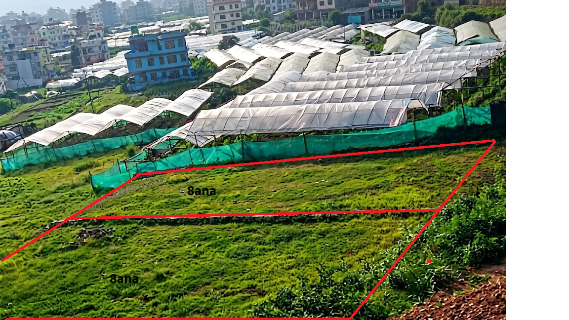 Land For Sale Thankot, Surung marga