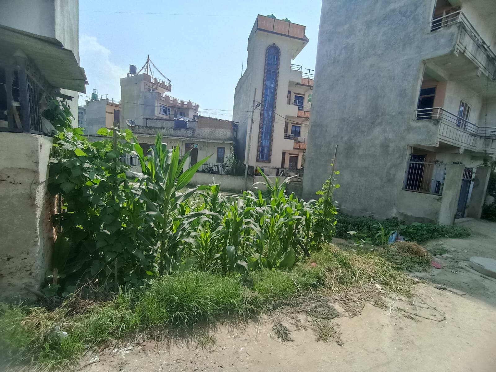 Land For Sale In Mulpani, Futsal