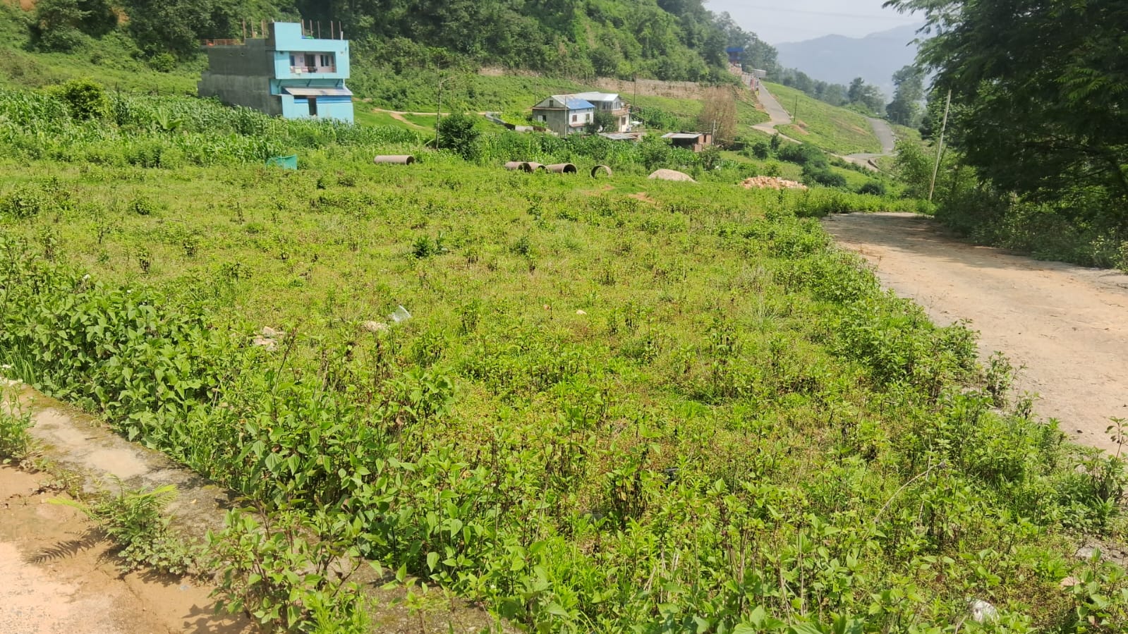 Land for Sale in Panighat, Chandragiri