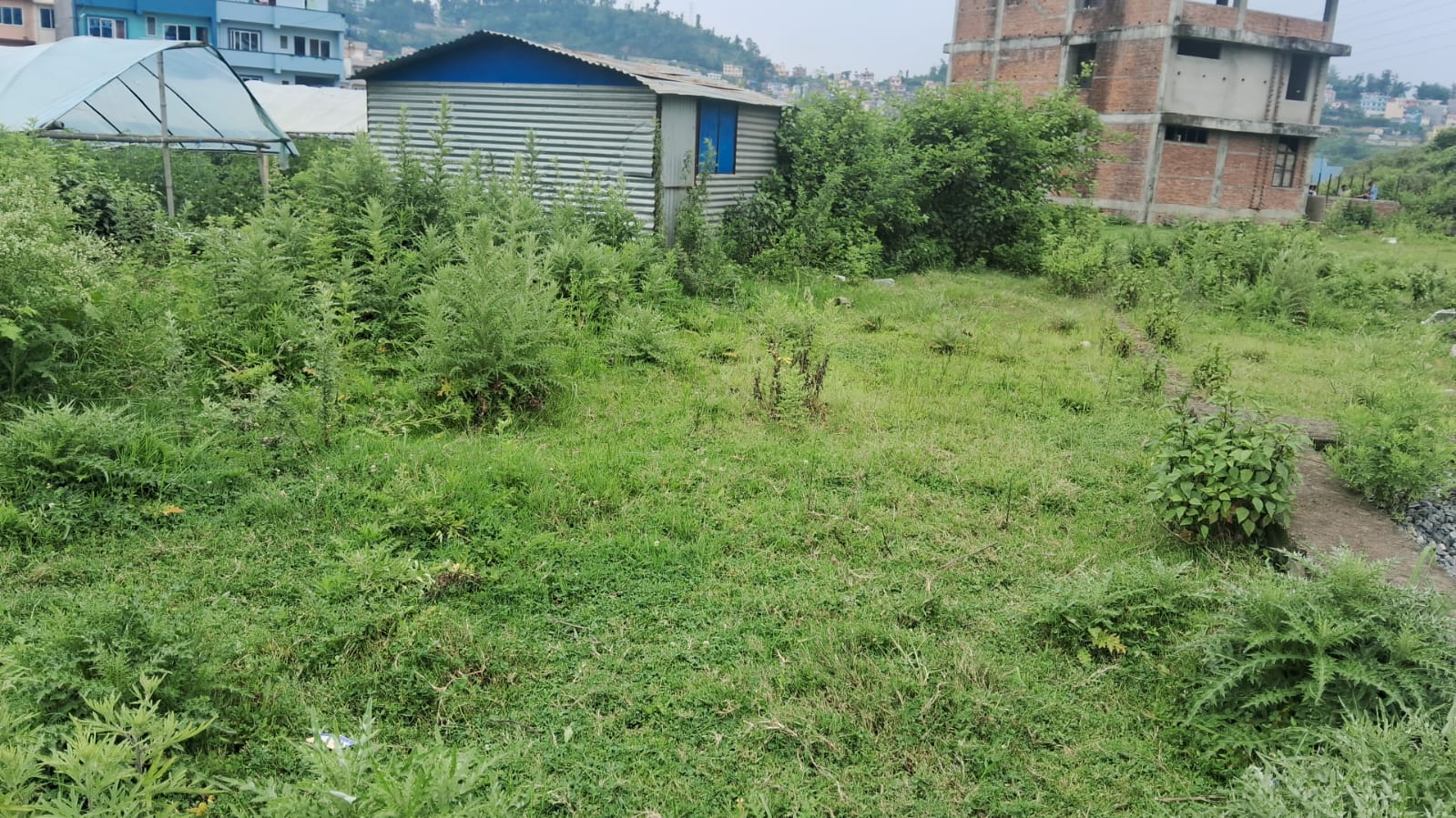 Land for Sale in Satungal