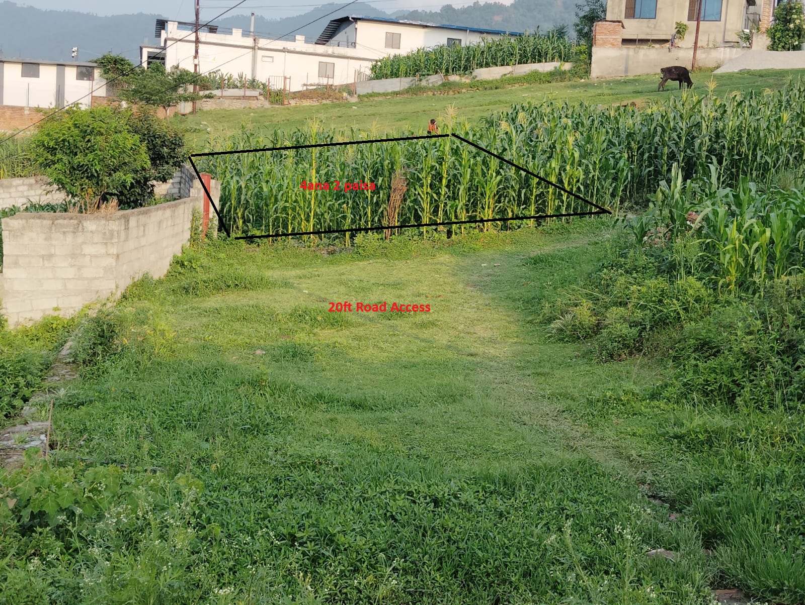 Land For Sale Sanogaun, Lalitpur