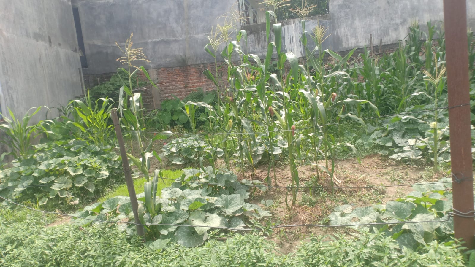 Residental land for sale in Kapan
