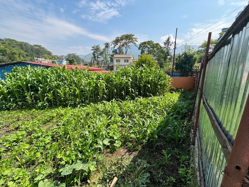 South-Facing Plot for Sale at Tokha