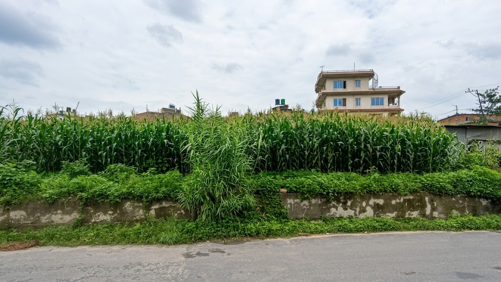 Residental land for sale in Balkot