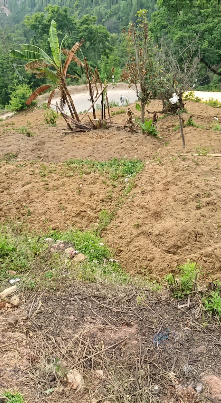 Land For Sale in Pharping