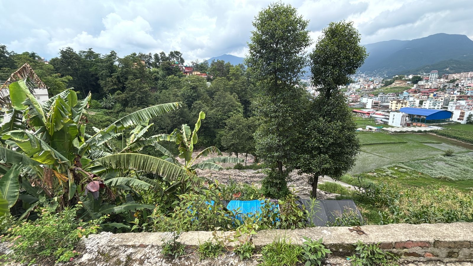 Prime Residential Plots For Sale  in Golfutar