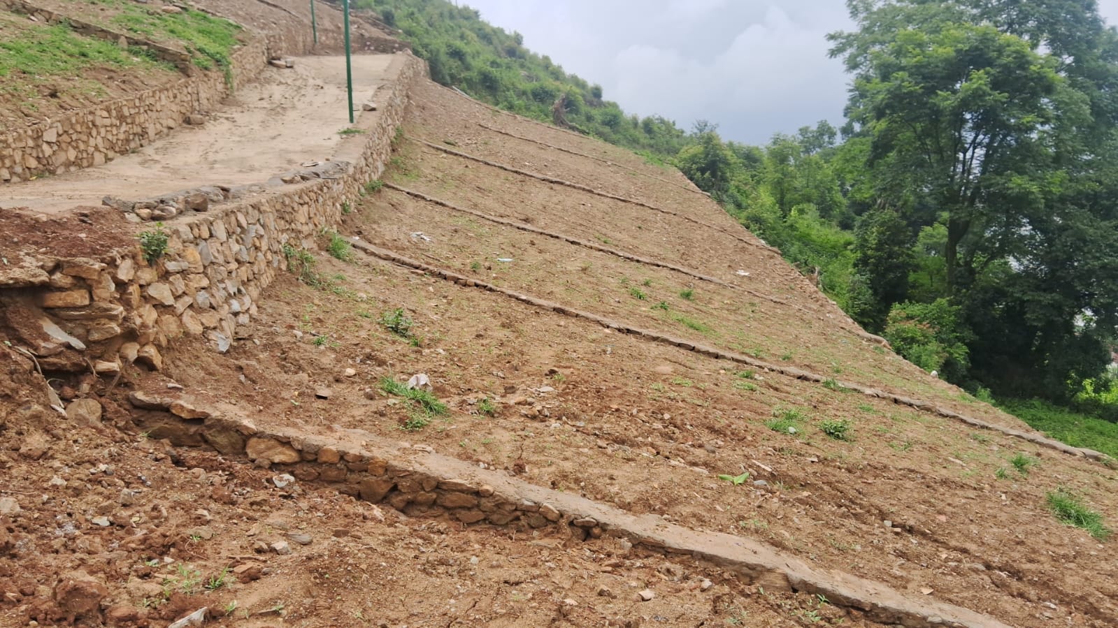 Plot for sale in Dahachowk