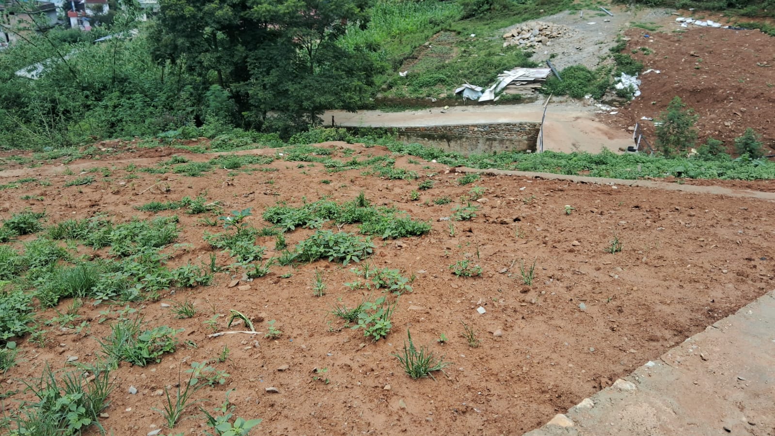 Land for Sale in khaharechowk, Dahachowk