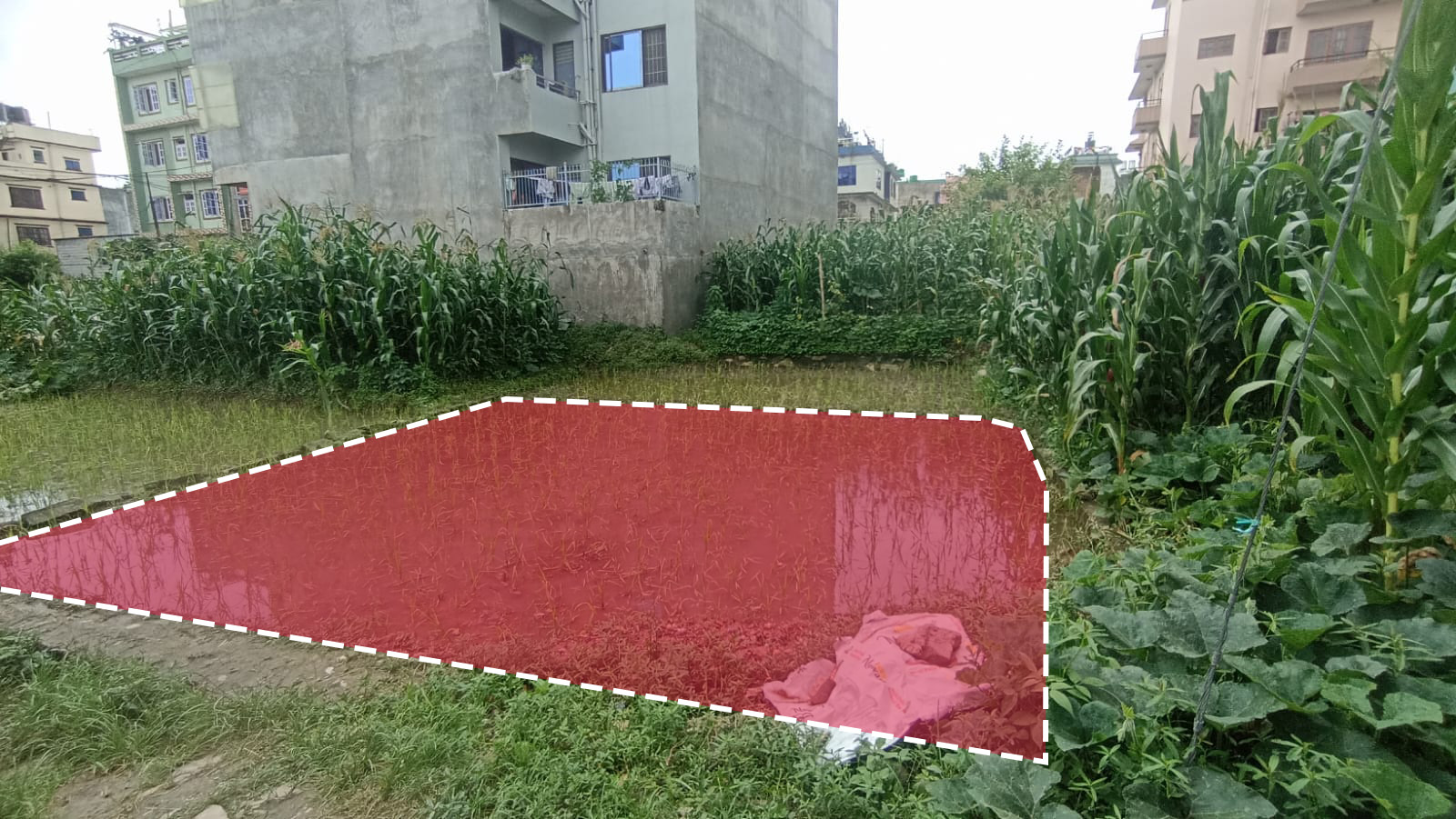 Land for Sale in Balkot