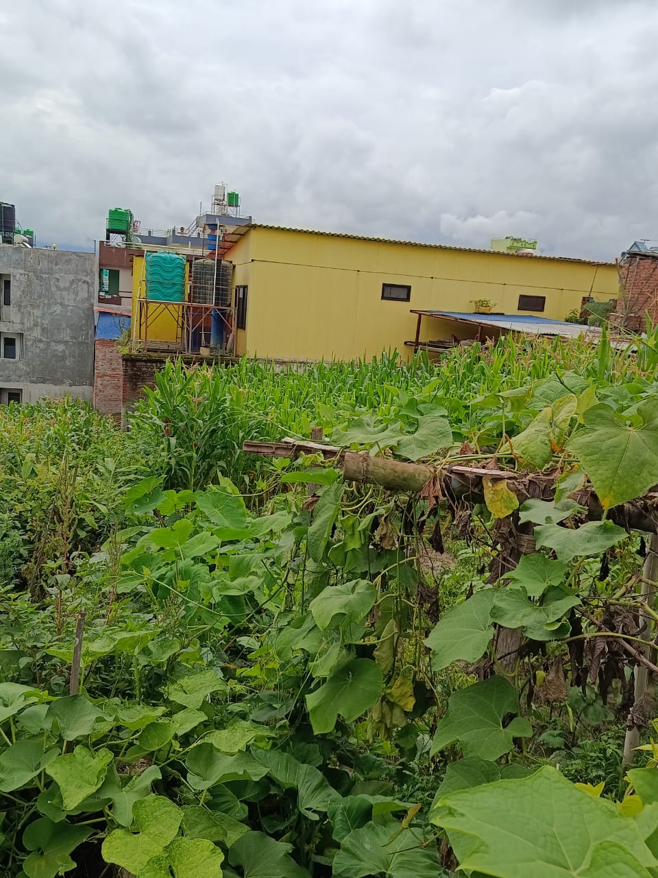 Land For Sale in Khumaltar