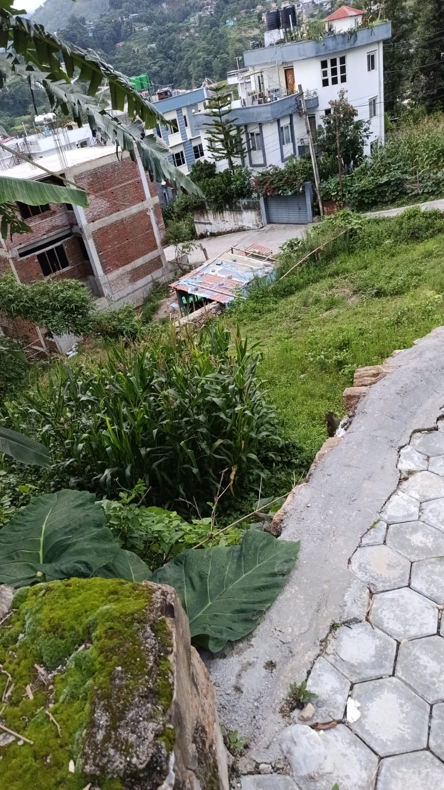 Land for Sale – Tallo Pasikot, Budhanilkantha