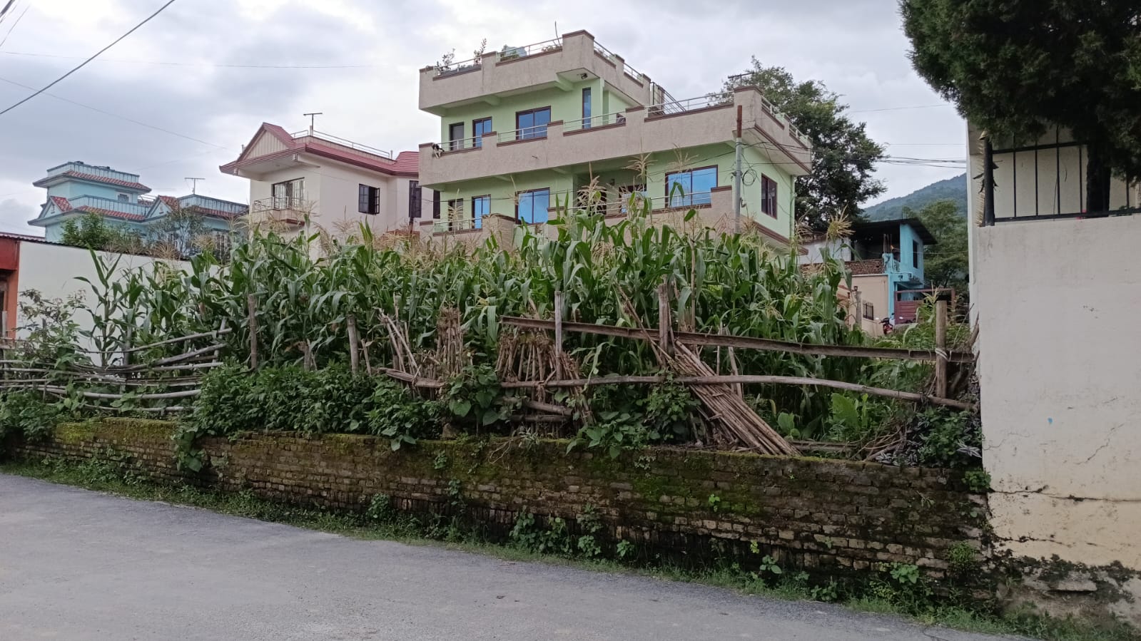 Prime Land for Sale – Near Shree Ram School, Pasikot