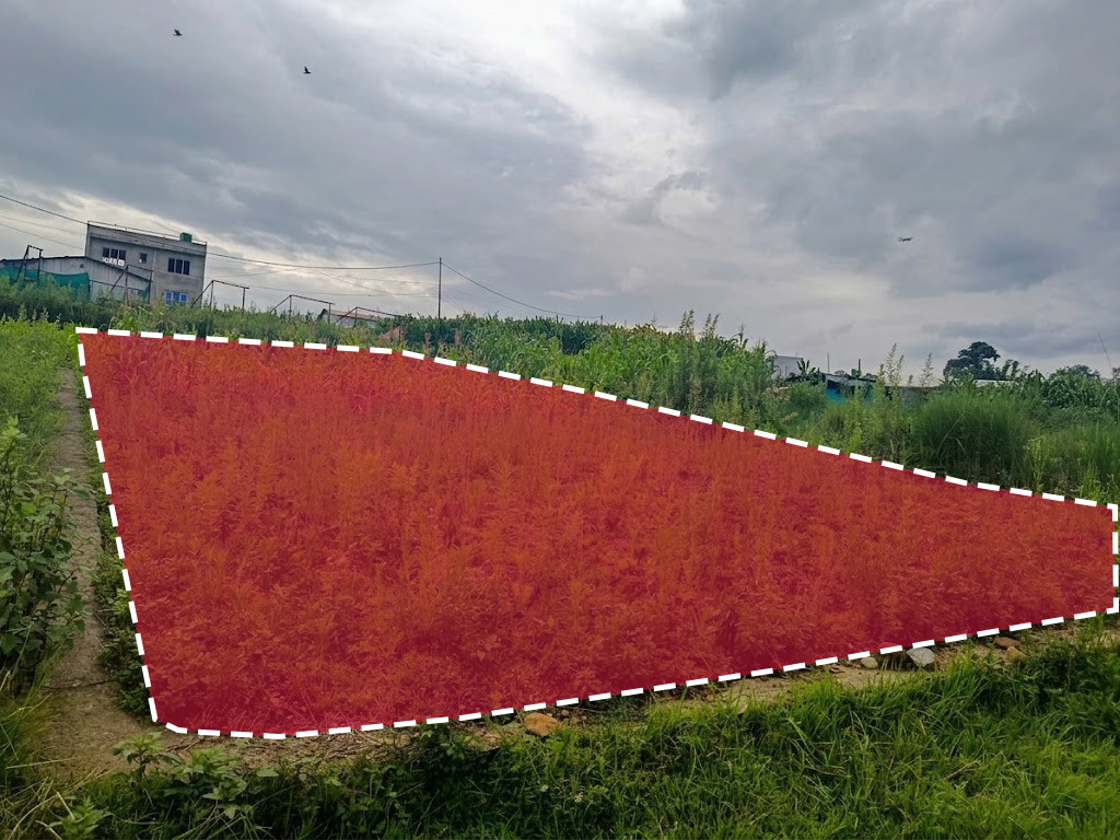 Land for Sale in Nagdaha