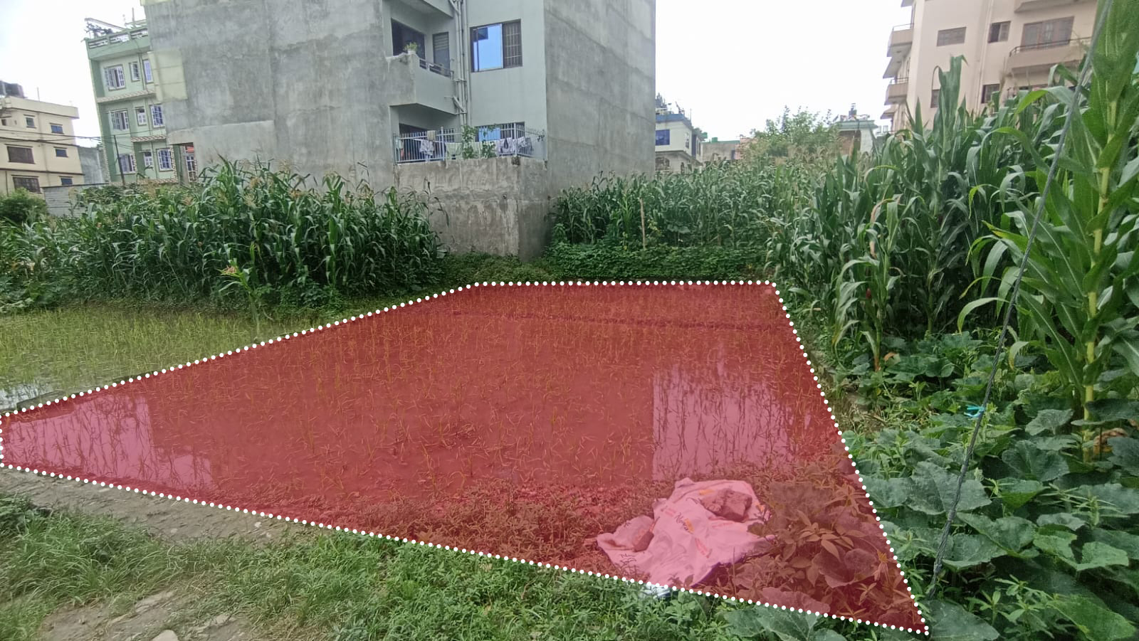 Land for Sale in Balkot