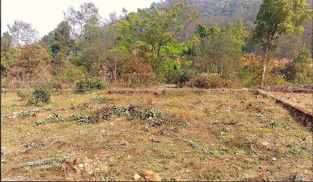 Land on Sale at Thankot