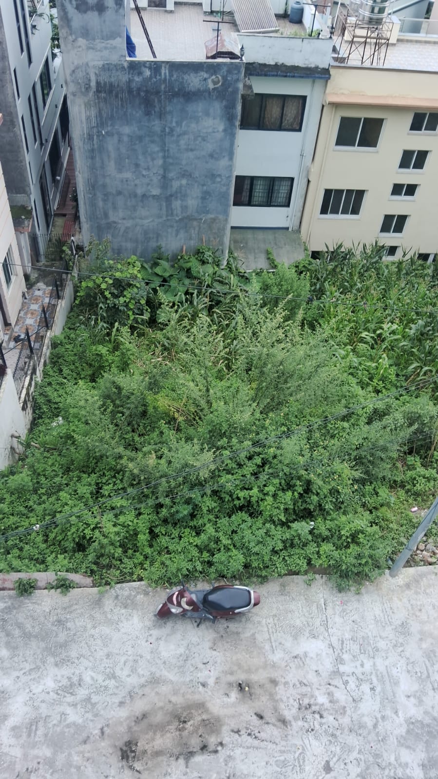 Land for Sale in Bhaisepati
