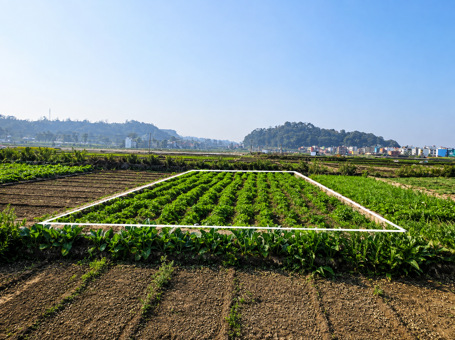 Perfect Land in Mulpani