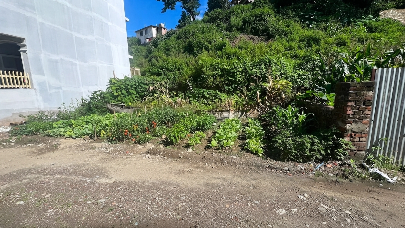South-Facing Land for Sale – Bhangal, Budhanilkantha