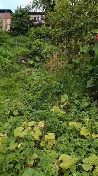 7 Aana Land for Sale in Hattigauda, Budhanilkantha