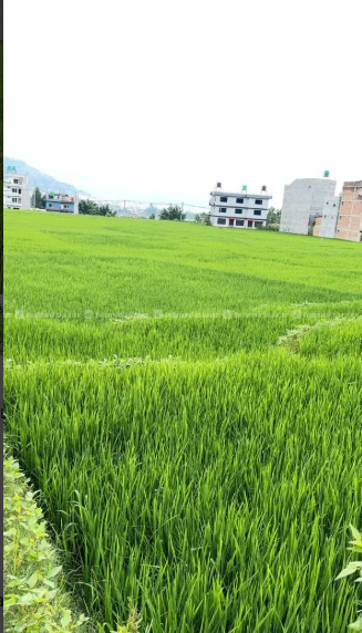 Land For Sale In Tathali , Bhaktapur