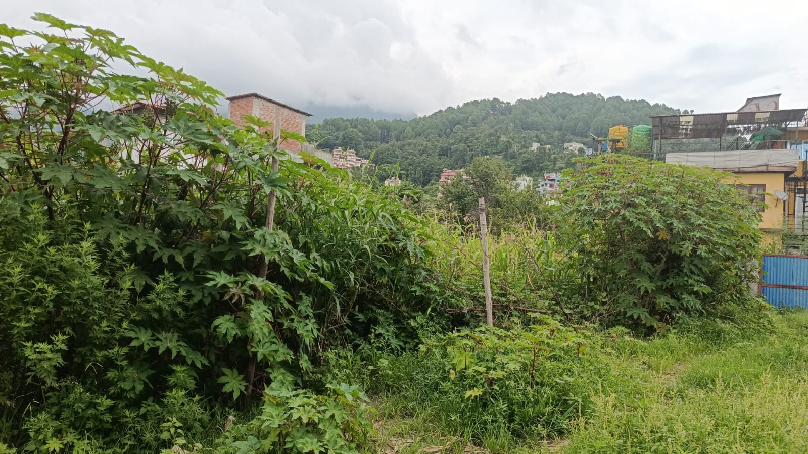 Land for Sale – Chapali Bhangal, Budhanilkantha