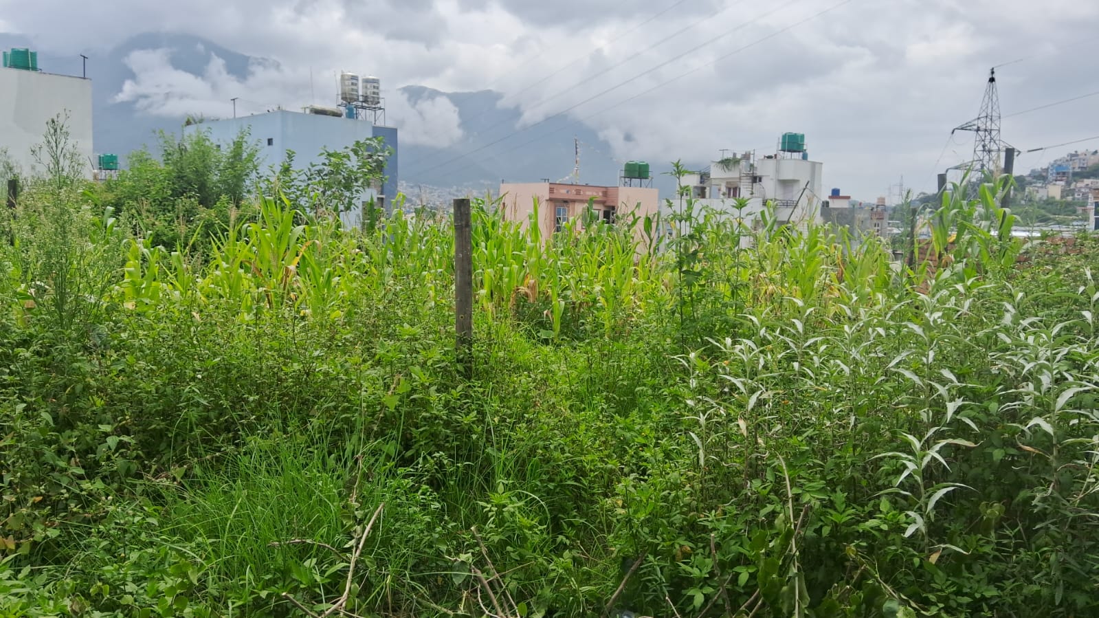 Land for Sale in Naikap