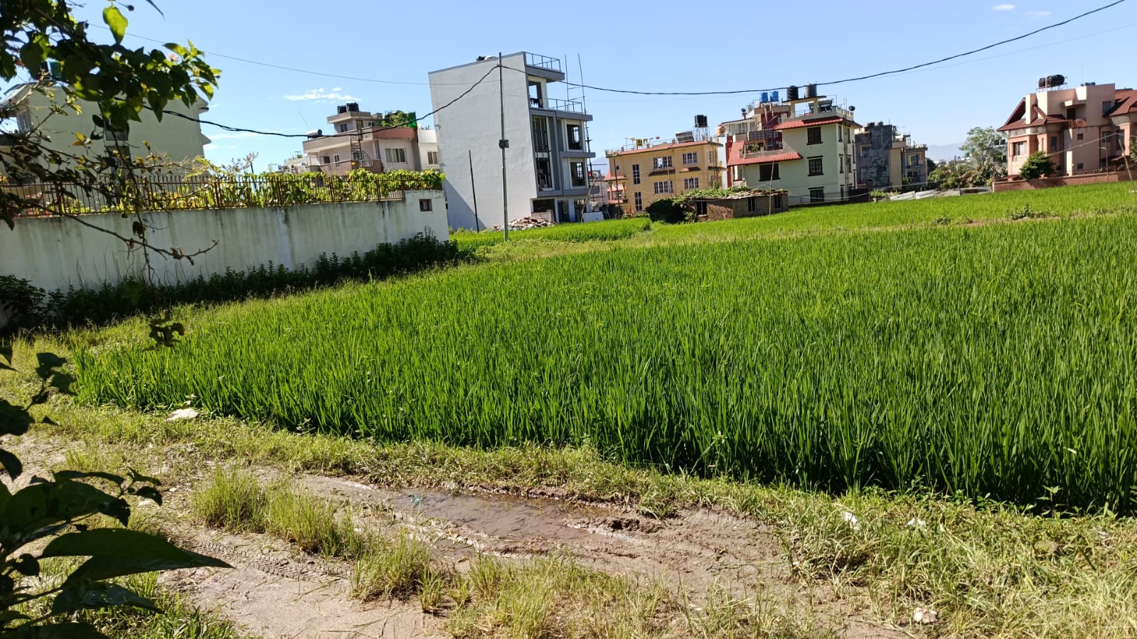 30 Aana Land for Sale – Pasikot, Budhanilkantha