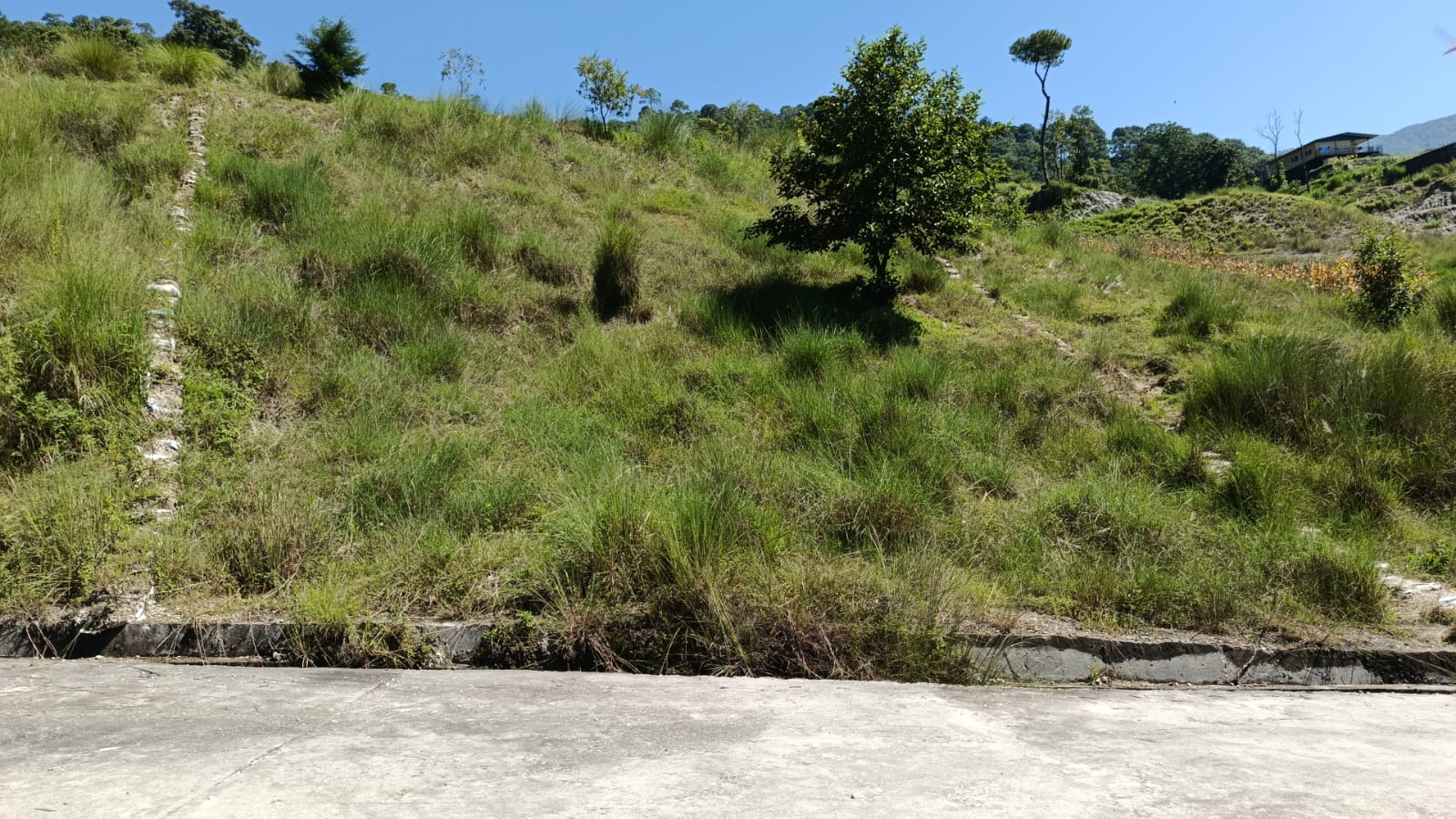 15 Aana Land for Sale – Pasikot, Budhanilkantha