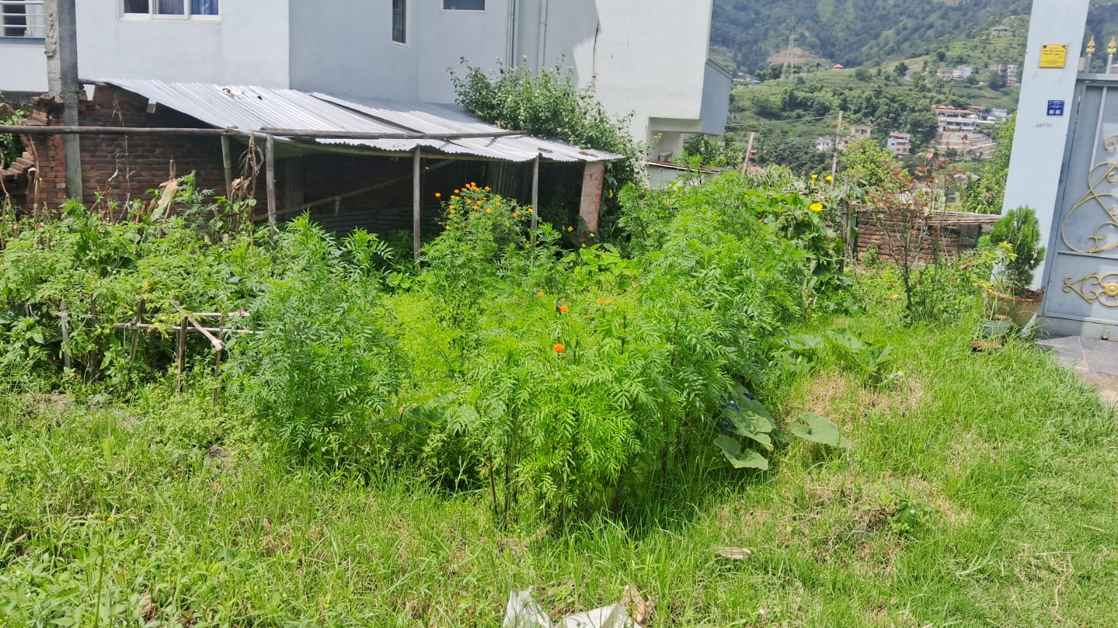 Land for Sale in Thankot