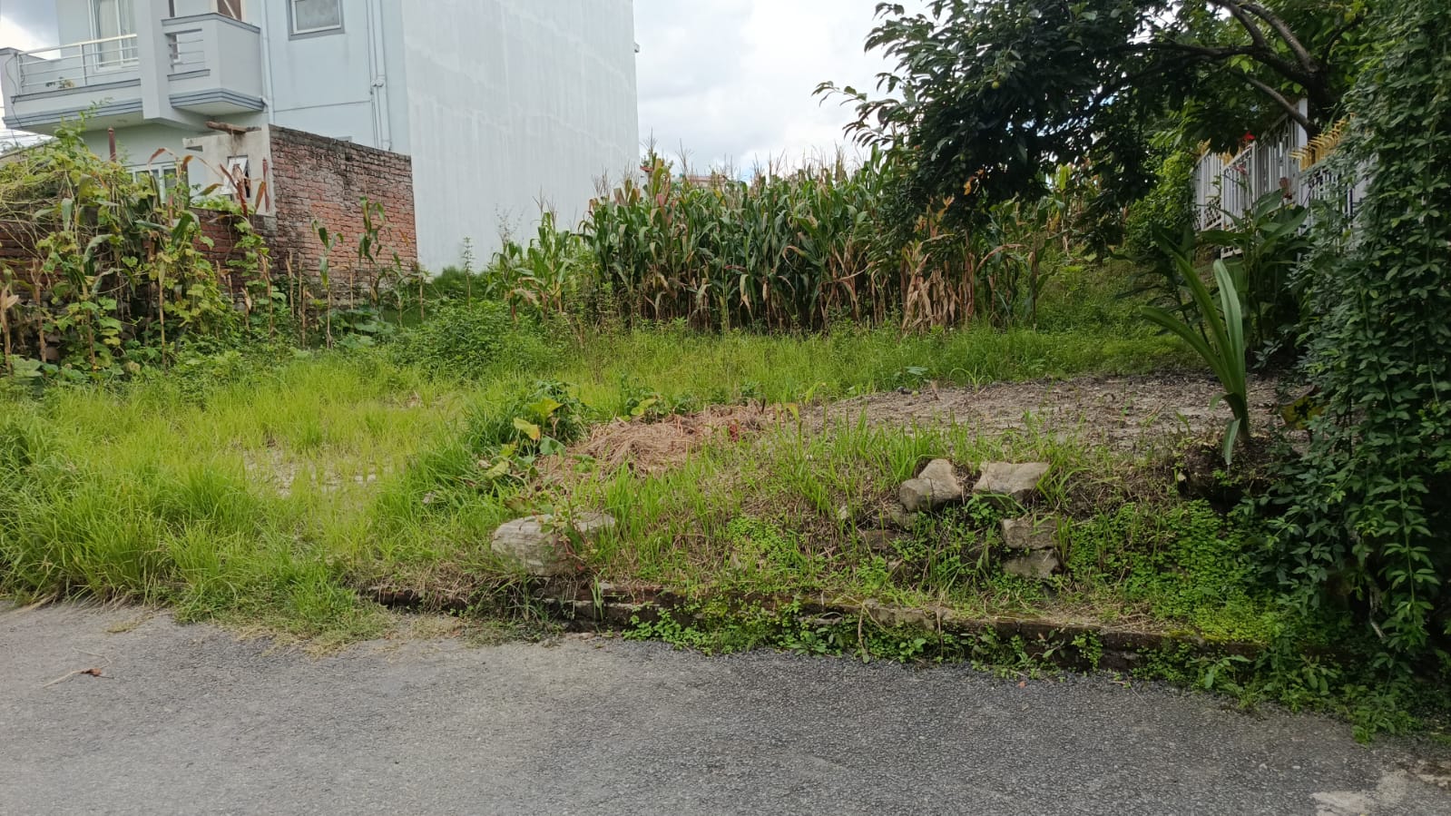 8 aana land for Sale - Hattigauda, Budhanilkantha