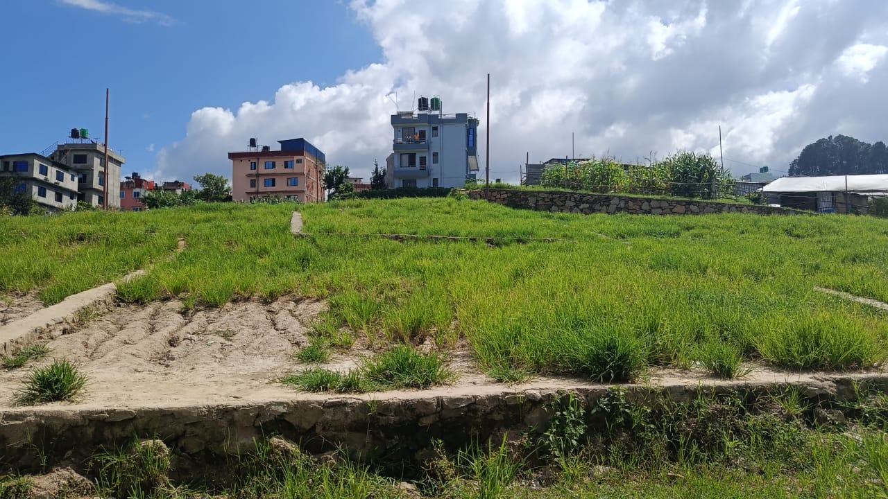 Land on Sale at  Godamchaur, Lalitpur