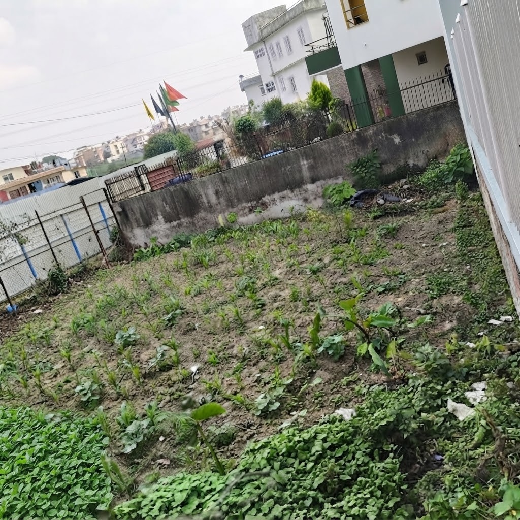 4 Aana 1 Paisa land on Sale - Pasikot 4, Budhanilkantha