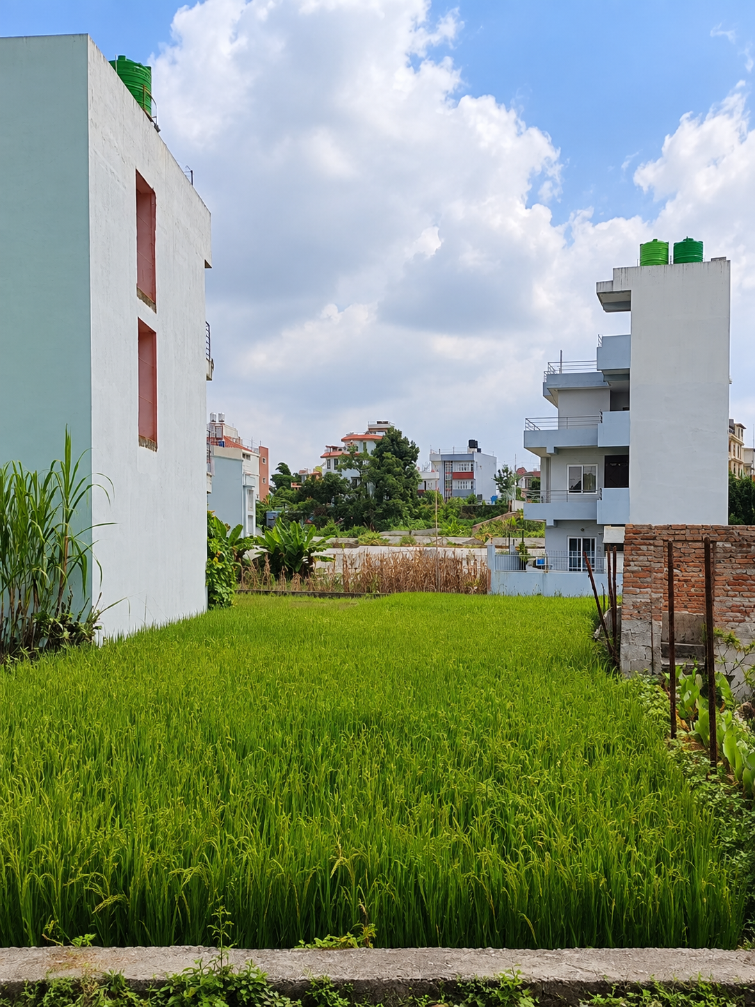 Land for Sale - Pasikot, Budhanilkantha