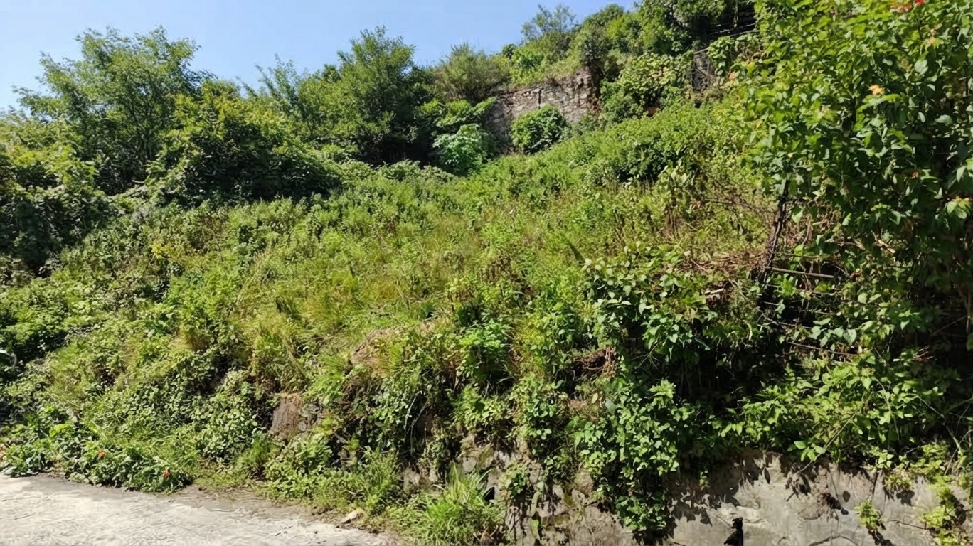 Land for Sale – Mandikatar Phaat, Budhanilkantha