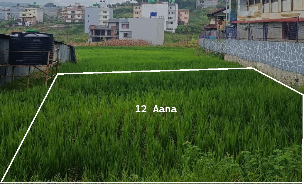 12 Aana Land on Sale - Nagdaha, Dhapakhel