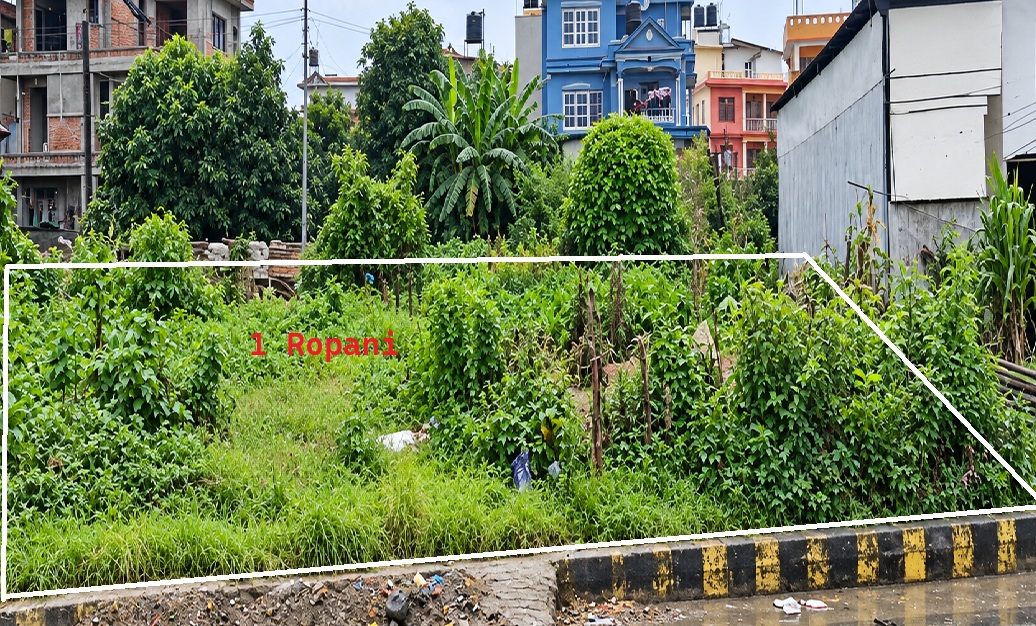 1 Ropani Land on Sale - Gotthatar, Kathmandu