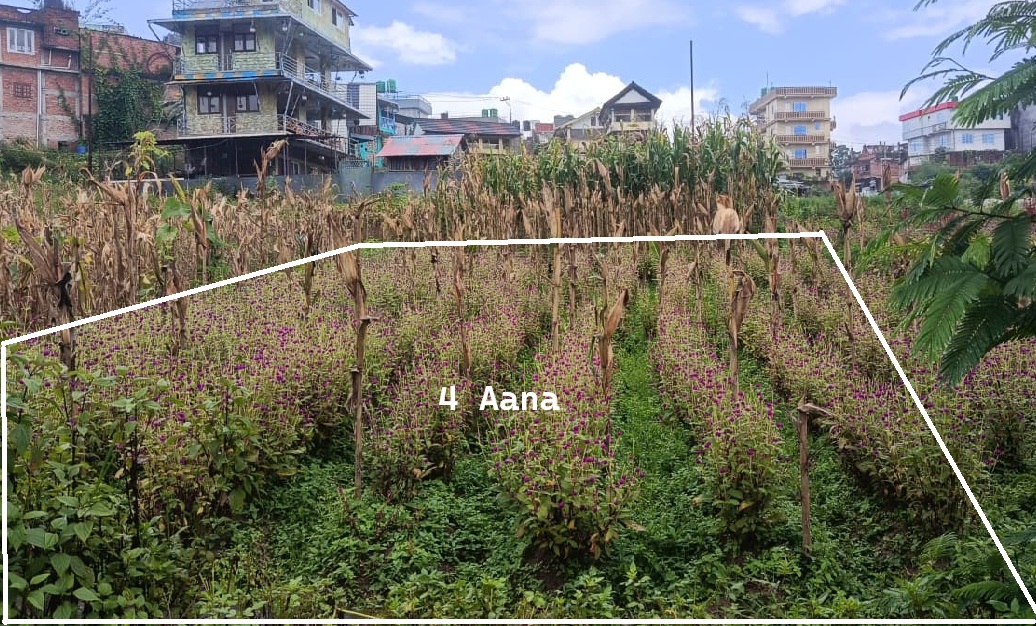 4 Aana Land on Sale - Nagdaha, Dhapakhel
